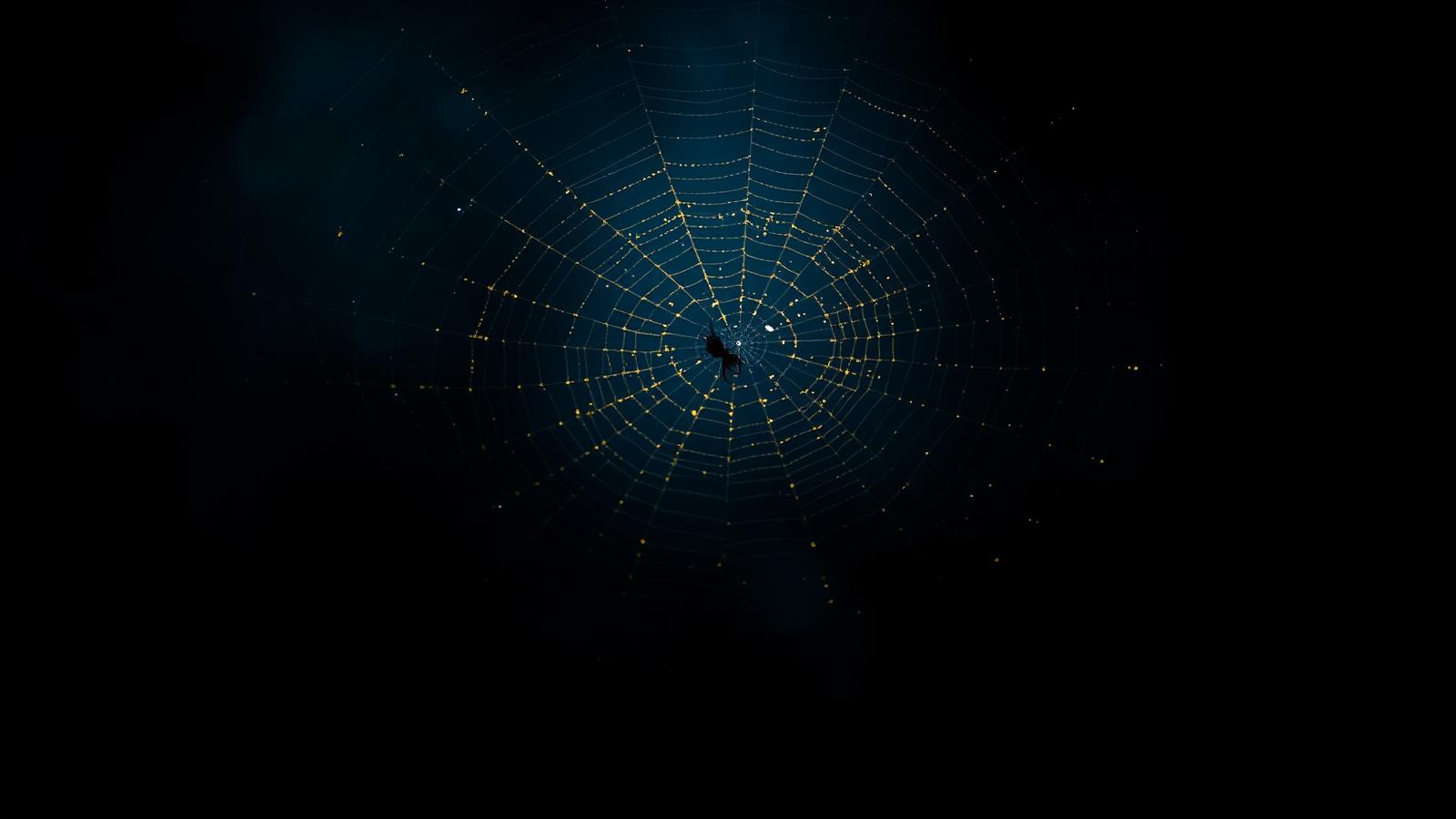 Telaraña iluminada con rocío dorado en la oscuridad